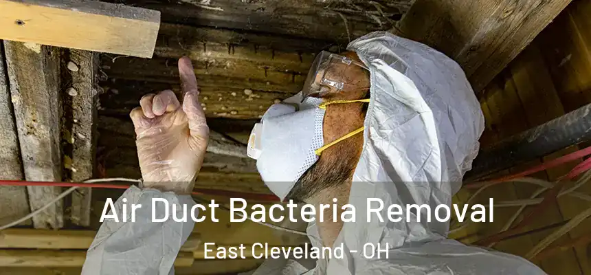  Air Duct Bacteria Removal East Cleveland - OH