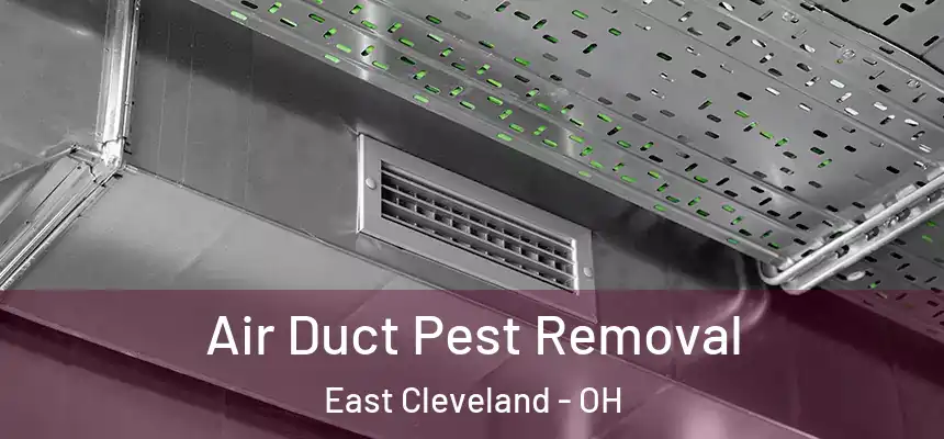  Air Duct Pest Removal East Cleveland - OH