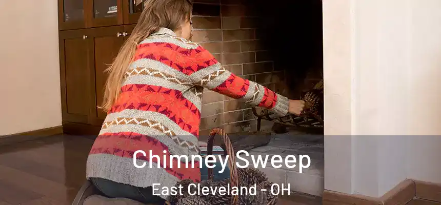  Chimney Sweep East Cleveland - OH