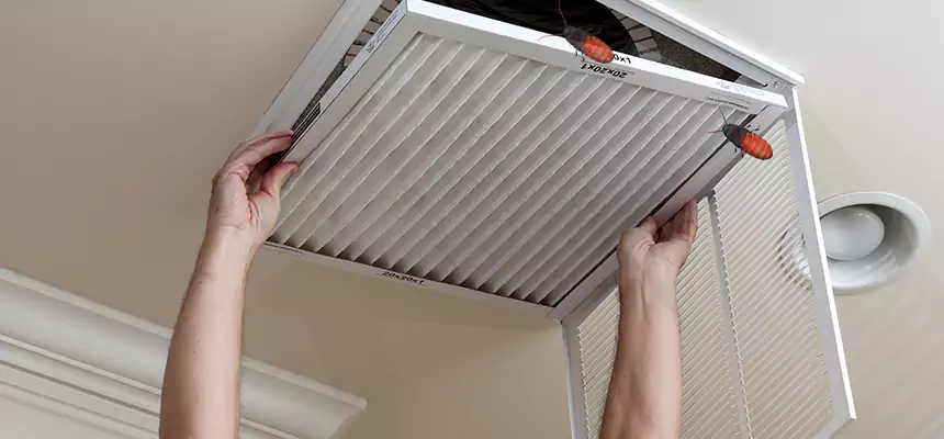 Preventive Cockroach-Proofing for Ducts in East Cleveland