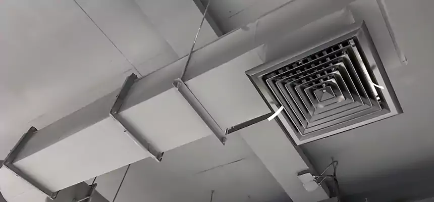 Our Pest Removal From Ducts Services in East Cleveland, OH