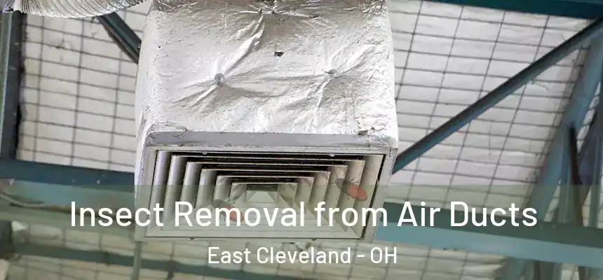  Insect Removal from Air Ducts East Cleveland - OH