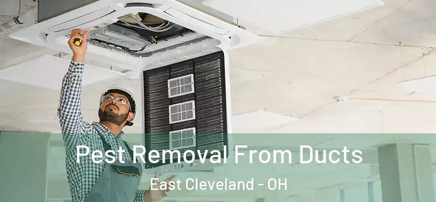  Pest Removal From Ducts East Cleveland - OH