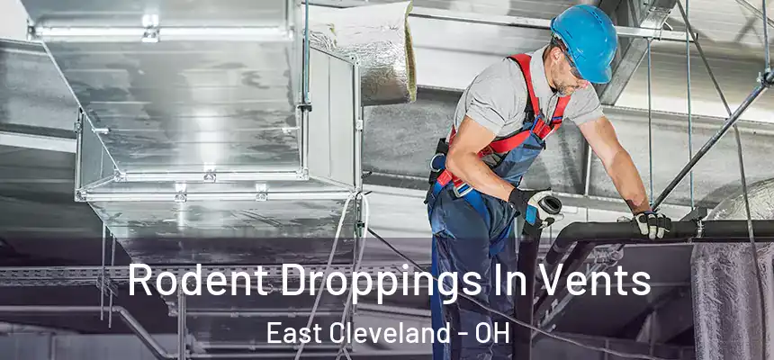  Rodent Droppings In Vents East Cleveland - OH