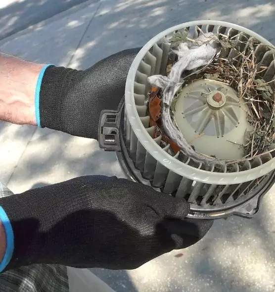 About Air Duct Rat Removal in East Cleveland, OH