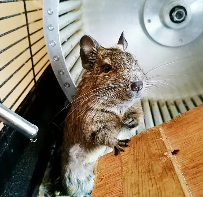 Why Homeowners & Businesses Trust Us East Cleveland, OH?